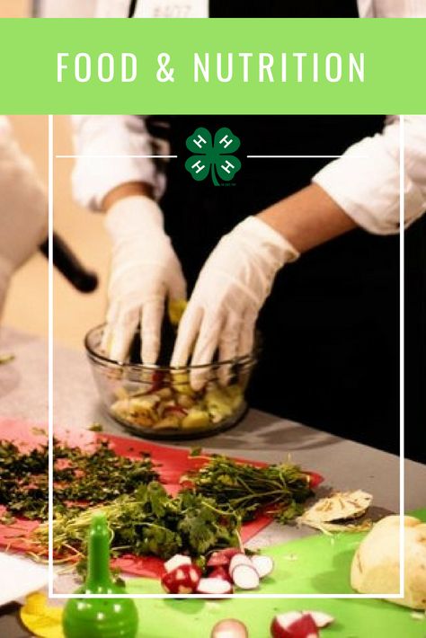 Texas 4-H Food & Nutrition 4h Food Challenge Recipes, 4h Food Project Ideas, 4 H Club, Cooking Challenge, Cooking Club, Food Challenge, Food Projects, Food Shows, 4 H