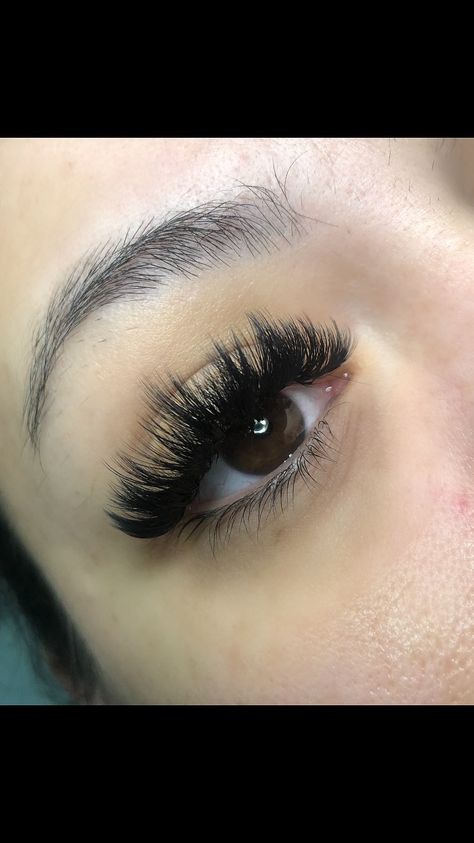 L Shaped Lash Extensions, Mega Volume Doll Eye Lash Extensions, Mega Volume Lash Extensions Wispy, Whisky Volume Lashes, Eye Lash Extensions Styles Mega Volume, Doll Eye Mega Volume Lash Extensions, Volume Lash Extensions Styles Cat Eye, Open Eye Volume Lash Extensions, Wispy Mega Volume Lash Extensions