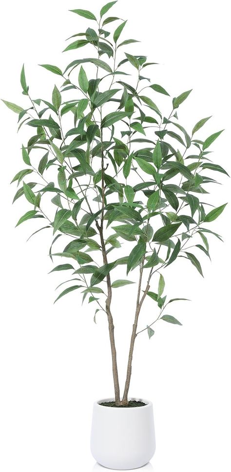 Amazon.com: Artificial Tree,5FT Fake Eucalyptus Tree in White Imitation Ceramic Planter with Lifelike Moss,Faux Gum Tree Tree for Indoor Entryway Modern Decor Home Office Porch Balcony Shopping malls : Home & Kitchen Fake Eucalyptus, Entryway Modern, Gum Tree, Eucalyptus Tree, Porch Balcony, Tree Tree, Porch And Balcony, Artificial Trees, Artificial Tree