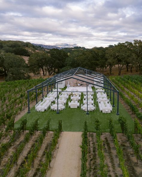 Our frame tent is a favorite for weddings and corporate events! Elevate your celebration with Hensley Event Resources. ✨ #HensleyEventResources #eventproductions #eventplanning #weddingday #eventplanner #eventdesign #weddingphotography #bride #design #california #luxurylifestyle #party #eventdecor #atrium #money #architecture #tent #glasshouse #frame #trends #weddingtrends Planning/Design @lauriearons Production/Rentals @hensleyeventresources Venue @montagehealdsburg Photographer @patric... Atrium Wedding, Bride Design, Glass House, Wedding Trends, Event Planner, Corporate Events, Event Decor, Event Design, Event Planning