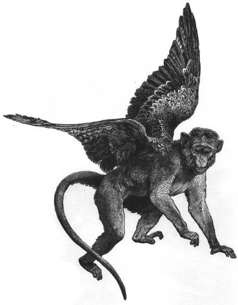 Dealing With The Very Real Dangers Of Flying Monkeys | by Julie Von Nonveiller Cairnes | The Educated Empath | Medium Cluster B, Emotional Vampire, Monkey Tattoos, In Denial, Wicked Tattoos, Flying Monkeys, Monkey Art, The Wonderful Wizard Of Oz, Flying Monkey