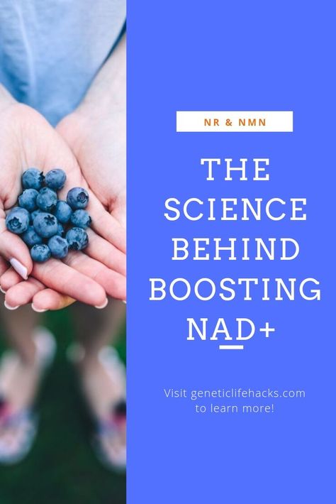 Wondering what all the buzz is about with using nicotinamide riboside (NR) and NMN to boost NAD+ and reverse aging? This article digs into the science and goes through the research studies (animal and human) to break it down for you. Learn about sirtuins, mitochondrial energy production, and how epigenetics impacts aging. Nad Supplement Benefits, Nad Benefits, Vitamin Therapy, Electron Transport Chain, Food Benefits, Body Wisdom, Top Anti Aging Products, Increase Testosterone Levels, Reverse Aging