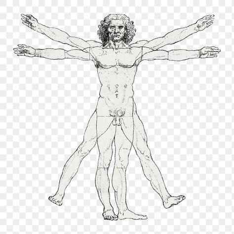 Famous Drawing, Da Vinci Vitruvian Man, Vitruvian Man, Sims4 Clothes, Hand Art, Vintage Printables, Free Png, Free Image, Scotch