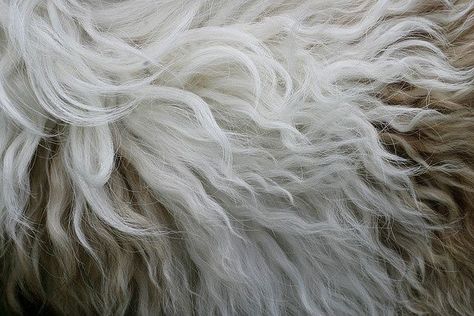 #WhiteHair: free_high_res_texture_116 by bittbox via Flickr https://buff.ly/2V0gNaM White Curls Aesthetic, Janet Snakehole, Snow Hair, Ororo Munroe, Long White Hair, Last Unicorn, Hair White, Pietro Maximoff, Kushina Uzumaki