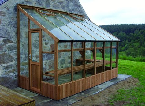 Reban Ayam, Greenhouses For Sale, Greenhouse Supplies, Lean To Greenhouse, Greenhouse Shed, Home Greenhouse, Wooden Greenhouses, Greenhouse Growing, Backyard Greenhouse