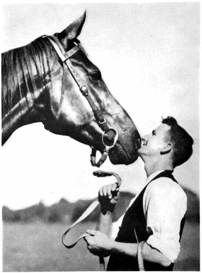 Phar Lap with strapper Tommy Woodcock  Source: Museum Victoria    He probably had the X gene factor Western Horseman, Thoroughbred Horse Racing, Sport Of Kings, Thoroughbred Horse, Horse Shirt, Horse T Shirts, Triple Crown, Thoroughbred, A Horse