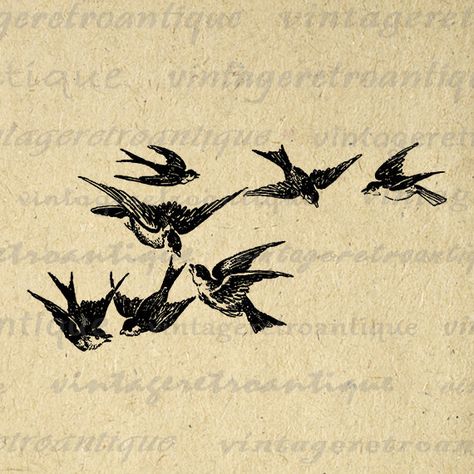 Flying Birds Images, Birds Printable, Image Graphic, Vintage Clip Art, Bird Graphic, Antique Artwork, Prints Fabric, Flying Birds, Clip Art Vintage