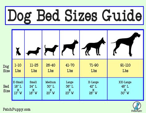 5 Cheap N Easy Dog Beds - DIYs with Plans - PatchPuppy.com How To Make Dog Beds Diy, Doggy Beds Diy Ideas, Diy Dog Beds For Large Dogs, Pet Beds Diy, Dog Bed Plans, Diy Dog Beds, Easy Dog Bed, Dog Bed Ideas, Dog Beds Homemade