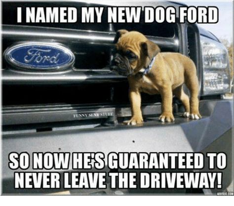 18 Ford Memes That'll Make You Smile With Pride | SayingImages.com Truck Jokes, Ford Humor, Chevy Jokes, Chevy Vs Ford, Ford Memes, Ford Jokes, Truck Memes, Truck Quotes, Car Jokes