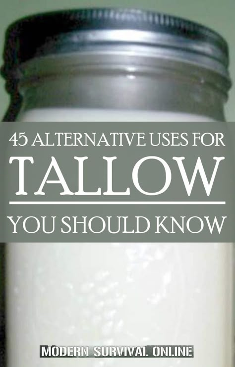 Rendering Tallow, Lard Recipe, Vegetable Oil Substitute, Rendering Lard, Tallow Recipe, Root Cellars, Seasonal Allergy Symptoms, Shampoo Bar Recipe, Oil Substitute