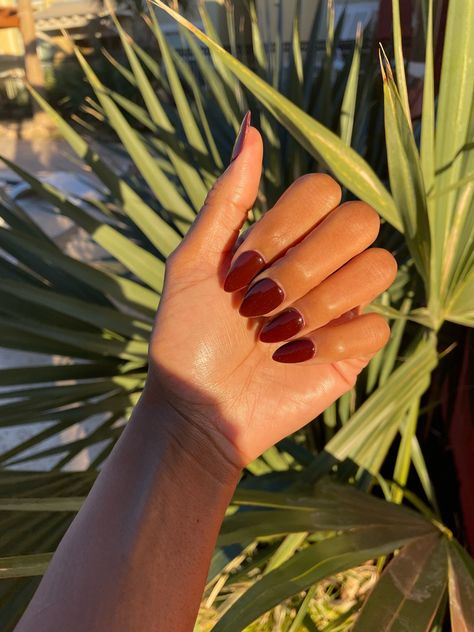 Almond Shape Maroon Nails, Almond Nails Solid Color Fall, Burgundy Almond Nails Short, Fall Red Almond Nails, Short Almond Burgundy Nails, Burgundy Nails Almond Shape, Almond Maroon Nails, Almond Nails Dark Skin, Almond Shape Nails Fall