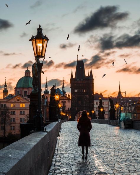 The Discoverer (@thedscvrr) no Instagram: “Discoverer @care4art in Prague, Czech Republic. One of Europe’s best-preserved cities, Prague has…” Prague Photos, Prague Travel, Couple Travel, Voyage Europe, Prague Czech Republic, Prague Czech, A Bridge, Travel Insurance, Travel Art