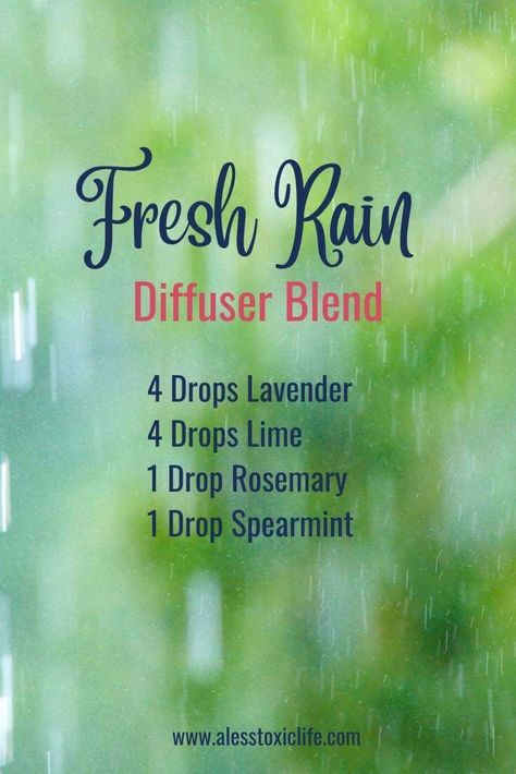 Rain Diffuser Blend, Rain Diffuser, Essential Oil Perfumes Recipes, Essential Oil Combinations, Essential Oil Diffuser Blends Recipes, Magia Das Ervas, Perfume Recipes, Essential Oils Guide, Essential Oils Herbs