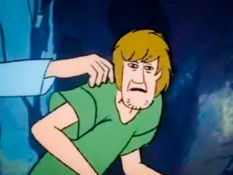 Shaggy Memes, Memes Template, Shaggy And Scooby, Scooby Doo Mystery Incorporated, Mystery Incorporated, Scooby Dooby Doo, Scooby Doo Mystery, Cartoon Mascot, Meme Template