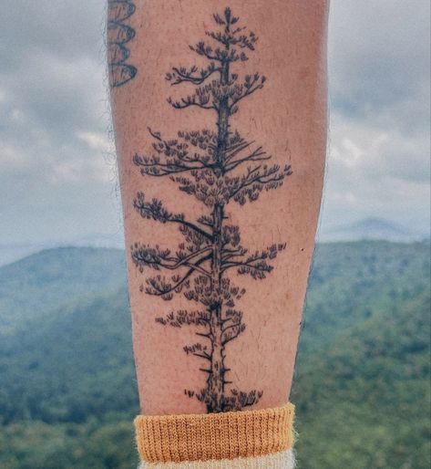 Band Of Trees Tattoo, Nature Healing Tattoo, Pine Tree Tattoo Leg, Delicate Pine Tree Tattoo, Pine Tree Roots Tattoo, Sierra Nevada Tattoo, Pnw Botanical Tattoo, Tree Ring Tattoo Shoulder, Aspen Tattoo Ideas