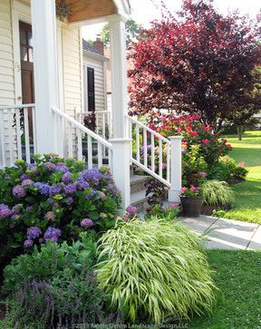 Landscaping Cape Cod House, Cape Cod House Landscaping, Cape House Landscaping, Cape Cod Landscaping Front Yards, Front Door Landscaping, Cape Cod Landscaping, Knockout Roses, Farmhouse Landscaping, Front House Landscaping