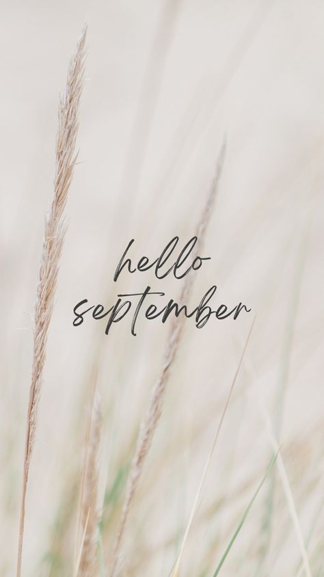 Hallo September Aesthetic, Wallpaper Aesthetic February, Hello September Wallpapers, September Instagram Story, September Vision Board, September Aesthetic Month, September Wallpaper Iphone, Hello September Aesthetic, September Aesthetic Wallpaper