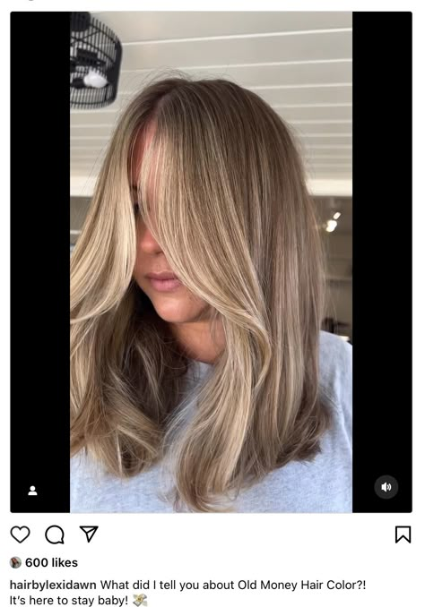 Blonde To Brown Lowlights, Half Blonde Highlights, Collarbone Length Hair With Highlights, Dark Brown Hair With Face Framing Blonde Highlights, Medium Length Haircut With Balayage, Chic Long Bob, Zara Mcdermott Hair, Mykenna Dorn Hair, Dark Blonde With Face Framing Highlights