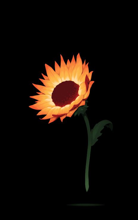 Sunflower Animation, Sunflower Animated, Butterfly Gif, Sunflower Photography, Gif Png, Protection Spell, Sunflower Png, Flowers Gif, Protection Spells