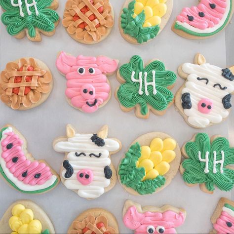 #4H #countyfair #cookies #cookieart #decoratingsugarcookies #yummy #fair 4h Cookies Decorated, 4h Cookies, 4-h Cookies Decorated, 4-h Cake Decorating Ideas, State Farm Cookies, Farm Buttercream Cookies, Farm Animal Decorated Cookies, Farm Market Ideas, County Fair