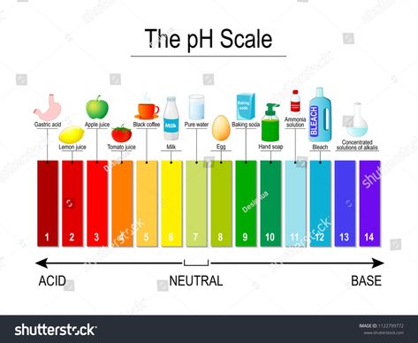 pH scale. Universal Indicator pH. Test Strips use for Track and Monitor pH for Alkaline and Acid levels. Color diagram for educational, medical, science use #Ad , #ad, #Strips#Test#Monitor#Track Ph Chart, Ph Indicator, Ph Scale, Coloring Worksheet, Family Bonding Activities, Ppt Design, Medical Terms, Color Worksheets, Family Bonding