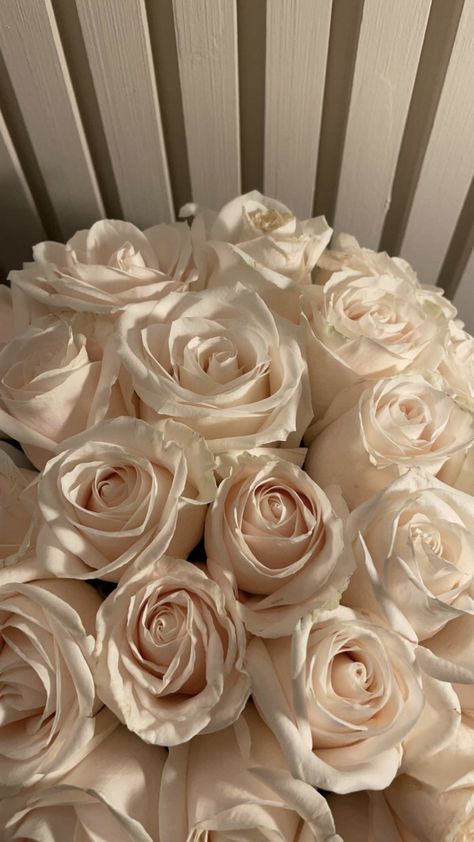 Nothing But Flowers, Flower Therapy, Beige Aesthetic, Pretty Flowers, White Roses, White Flowers, Bouquets, Ios, Iphone Wallpaper