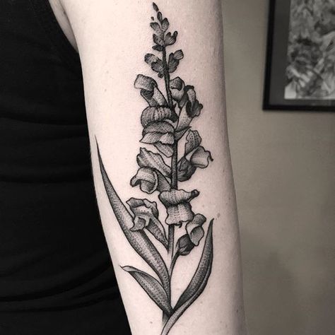 Snapdragon Drawing Simple, Snapdragon Flower Tattoo, Snapdragon Tattoo, Skull Tattoo Flowers, Snapdragon Flowers, Black Sketch, Tribute Tattoos, Wildflower Tattoo, Floral Tattoo Sleeve