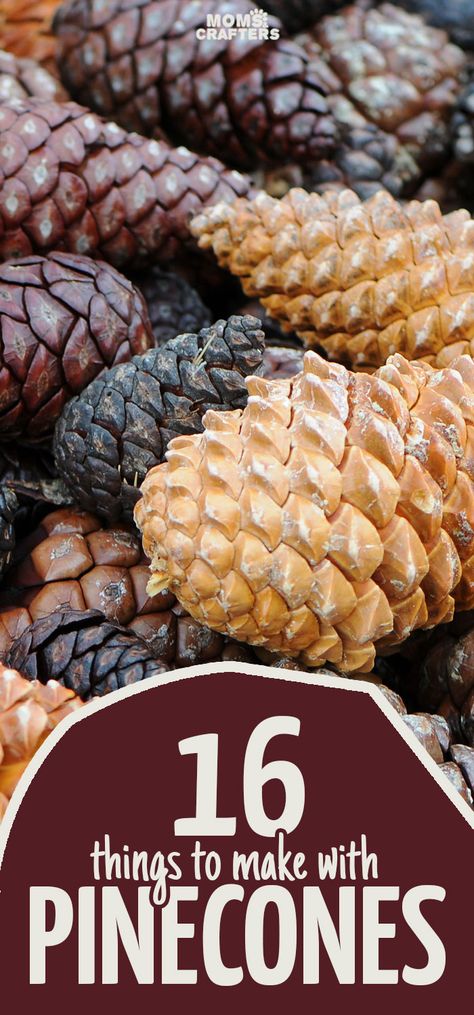 Autumn brings with it my favorite free craft supply: pine cones! Click for 16 perfect pinecone crafts for kids, adults and everyone in between! You'll find some great winter and holiday decor here, ideas for autumn crafting, adn easy DIY tutorials to get you going! Pinecone Crafts For Kids, Free Craft Supplies, Fall Crafts For Adults, Ideas For Autumn, Pinecone Crafts, Pine Cone Art, Arts And Crafts For Adults, Arts And Crafts For Teens, Christmas Crafts For Adults