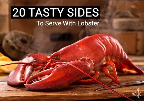 What to serve with lobster? Here are 20 ideas for wonderful side dishes to pair with your best lobster recipes including more than just lemon and garlic butter. Lobster Side Dishes, Seafood Boil Party Ideas, Lobster Meals, Aquarium Pets, Lobster Restaurant, Steamed Lobster, Boston Baked Beans, Live Lobster, How To Cook Liver