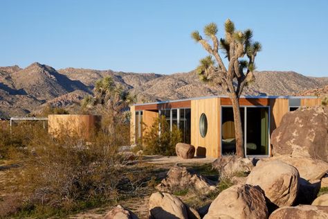 Photo credit: Ye Rin Mok Wood Pavilion, Modern Wood House, Modern Desert Home, Desert Ecosystem, Cedar Walls, Desert House, Modern Desert, Mojave Desert, Desert Oasis