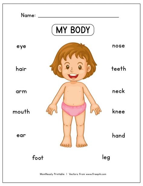 Printable: Learn the Body Parts Worksheet - https://tribobot.com Body Parts Worksheet, Body Worksheet, Body Parts Preschool Activities, Body Parts For Kids, Body Preschool, Body Parts Preschool, English Activities For Kids, Kids Worksheets Preschool, Free Preschool Worksheets