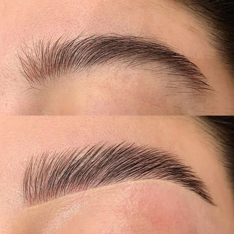 Brow Code, Eyebrow Before And After, Disney Princess Makeup, Eyeshadow Styles, Eyeliner Techniques, Embrace Natural Beauty, Flawless Makeup Application, Brow Lash, Mascara Tips