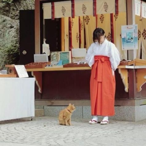 Heian Era, Japanese Shrine, Shrine Maiden, Clothing Reference, Yumeko Jabami, Japanese People, Japan Culture, Japan Aesthetic, Kamakura