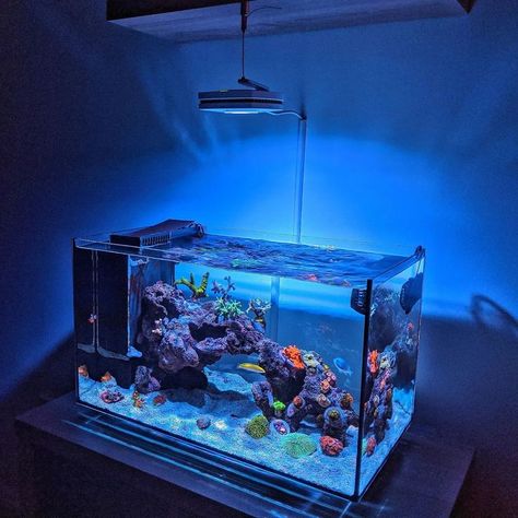 Cool Fish Tank Decorations, Nano Reef Tank, Aquarium Architecture, Marine Fish Tanks, Fish Aquarium Decorations, Fish Tank Themes, Saltwater Aquarium Fish, Fish Tank Terrarium, Cool Fish Tanks