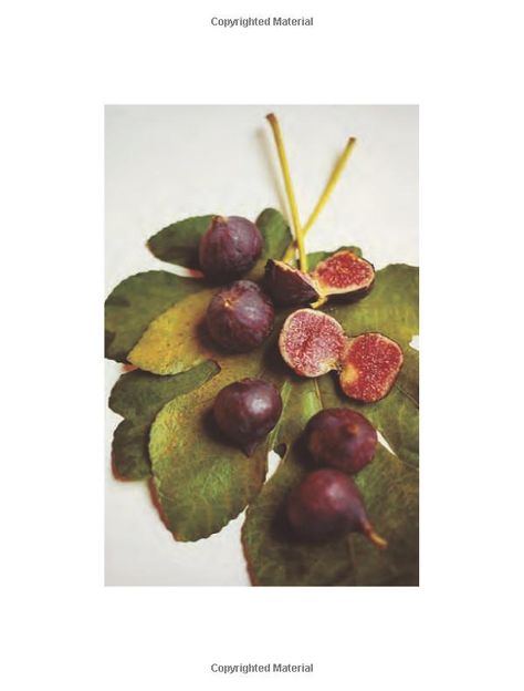 Fig Food, Alice Waters, Fruit Recipe, Fresh Fruit Recipes, Fresh Figs, The Homestead, Tree Photography, Fig Tree, Fruit Recipes