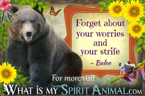 The best Bear Quotes & Sayings in my giant Animal Quotes & Sayings library! Read Inspirational, Motivational, Funny, Cute & Loving Bear Quotes! #spiritanimal #bear #bears #mammals #animal #animals #animales #wildlife #animalquotes Bear Quotes Funny, Bear Sayings, Bear Spirit Animal, Bear Quotes, Bear Spirit, Motivational Funny, Bear Bears, Giant Animals, Bear Quote