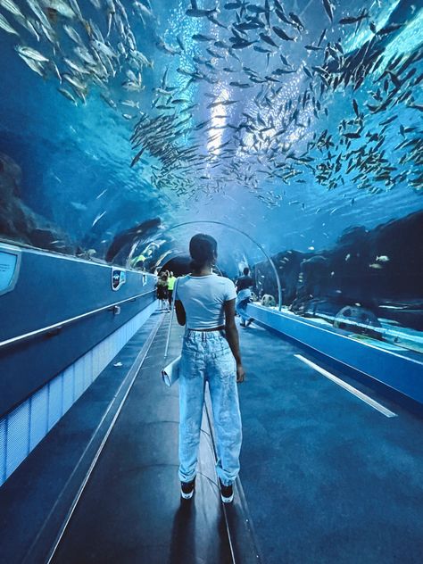 Atlanta Picture Ideas, Georgia Aquarium Photography, Atlanta Georgia Aesthetic, Georgia Core, Atlanta Pictures, Atlanta Activities, Atlanta Itinerary, Atlanta Photoshoot, Atlanta Vacation