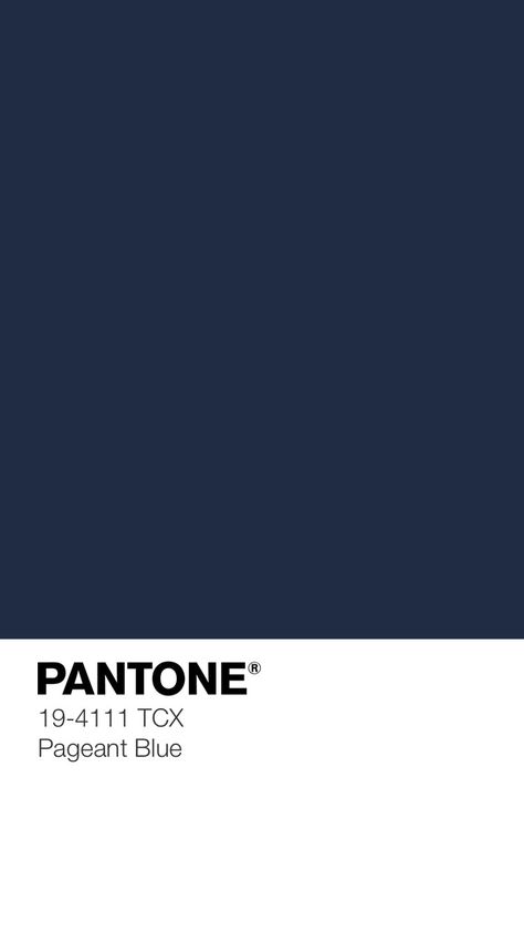 Navy Blue Pantone, Pantone Navy, Texture Interior, Blue Pantone, Pantone Colours, Pantone Swatches, Winter Palette, Pantone Colour Palettes, Dream Kids