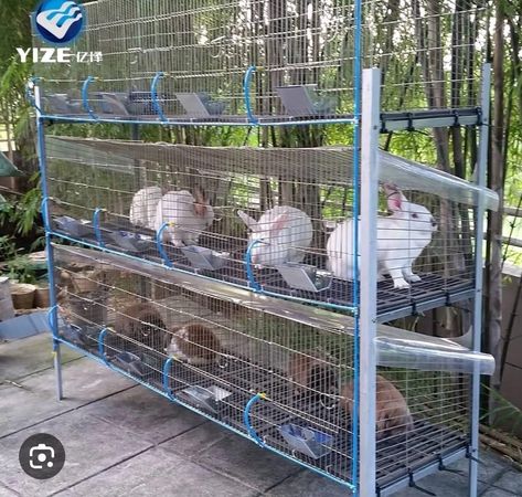 Rabbit Cages Outdoor, Rabbit Farming, Rabbit Hutch Plans, Diy Rabbit Cage, Pet Rabbit Care, Cages For Sale, Rabbit Farm, Meat Rabbits, Raising Rabbits