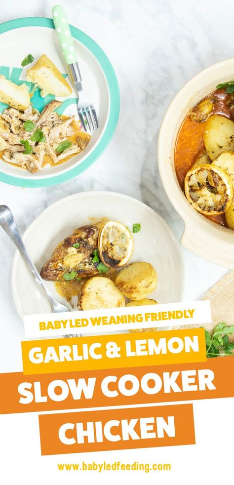 Baby Led Weaning Slow Cooker Chicken with Lemon & Garlic. Easy and healthy baby food for BLW crockpot recipe. Make ahead and feed the entire family! Dairy free and egg free. #babyledweaning #dairyfree #eggfree #slowcookerrecipe Lemon And Garlic Chicken, Chicken Cooker, Chicken With Lemon, Slow Cooker Pumpkin, Lemon Garlic Chicken, Baby Led Weaning Recipes, Healthy Baby Food, Weaning Recipes, Healthy Baby