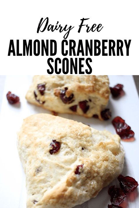 Dairy Free Almond Cranberry Scones - Newman's Nest Dairy Free Scones, Cranberry Scone, Dairy Free Cake Recipe, Fresh Cranberry Recipes, Dairy Free Recipe, Dairy Free Baking, Gluten Free Scones, Cranberry Scones, Aip Desserts