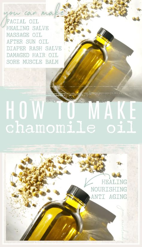 Diy Oil Recipes, Diy Herbal Body Oil, Chamomile Shampoo Diy, Diy Essential Oil Recipes How To Make, Things To Do With Chamomile, Diy Witchy Oils, Diy Herb Infused Body Oils, How To Make Chamomile Oil, Diy Herbal Oil