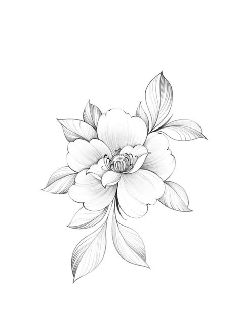 Lotusblume Tattoo, Flower Tattoo Drawings, Floral Tattoo Sleeve, Flower Outline, Floral Tattoo Design, Tattoo Design Book, Line Flower, Flower Sketches, Floral Drawing