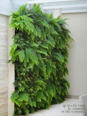 vertical garden of ferns                                                                                                                                                                                 More Garden Swings, Arbor Bench, Taman Air, Garden Wall Designs, Vertical Garden Design, Ferns Garden, Gardens Ideas, Pergola Swing, Vertical Garden Wall