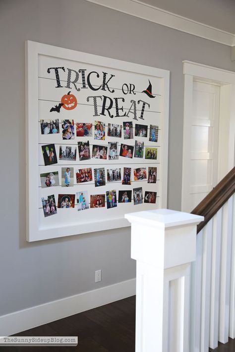 Shiplap Trick or Treat Halloween Picture Display - The Sunny Side Up Blog Small Basements, Halloween Photos, Diy Remodel, Halloween Cupcakes, Living Room Remodel, School Pictures, Halloween Pictures, Room Remodeling, Finishing Basement