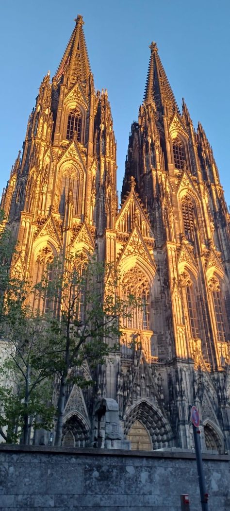 Cologne Cathedral Wedding, Cologne Germany Cathedral, Cologne Cathedral Interior, Cologne Cathedral Wallpaper, Cologne Cathedral Aesthetic, German Cathedrals, Famous Cathedrals, Germany Cathedral, Koln Cathedral