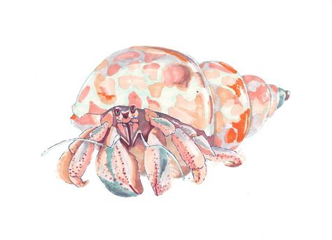 Copic Animals on Behance Blue Coral Art, Crab Watercolor, Crab Painting, Crab Print, Crab Art, Coral Art, Sea Life Art, Blue Artwork, Hermit Crab