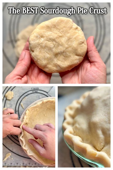 Sourdough Pie Crust Recipe, Sourdough Pie Crust, Savory Quiche, Savory Pie Crust, Pie Game, Mini Pie Crust, Recipe Using Sourdough Starter, Sourdough Bread Starter, Sourdough Starter Discard Recipe