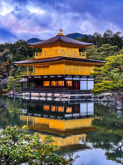 Japan Bucket List, Golden Pavilion, Japan Photo, Bucket List, Tattoo Ideas, Japan, Photography, Quick Saves