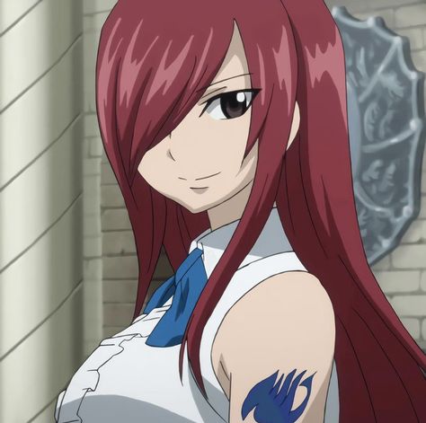 Fairy Tail Anime Erza, Erza Scarlett, Fairy Tail Erza Scarlet, Fariy Tail, Fairy Tail Girls, Fairy Tail Lucy, Fairy Tail Characters, Fairy Tail Art, Erza Scarlet